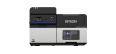 Barvni tiskalnik etiket Epson ColorWorks C8000, BK